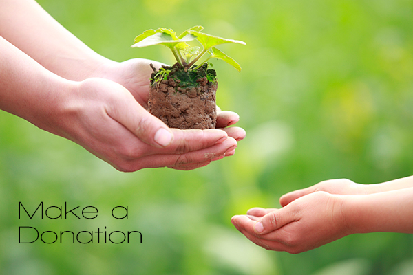 donations